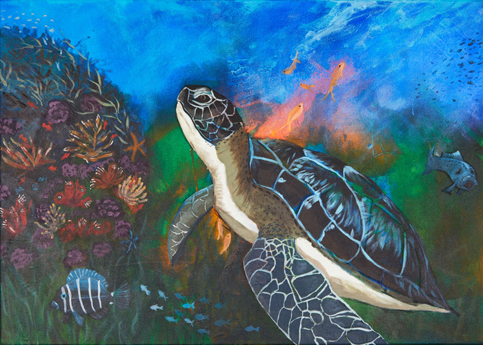 8 | Turtle | 50x70