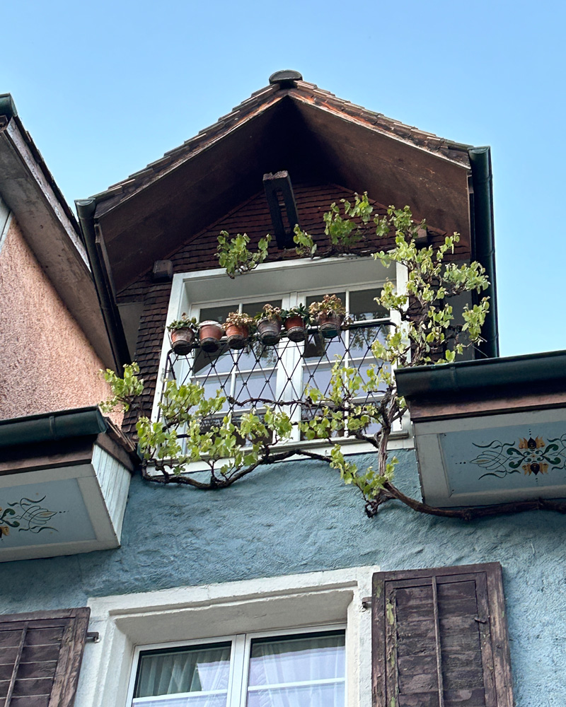 Malerische Altstadt | Bremgarten